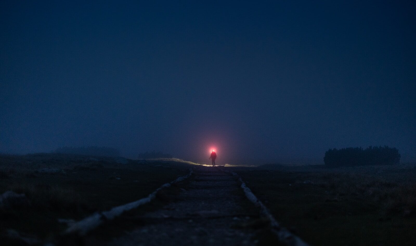 Photo by Marek Piwnicki